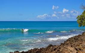 seclusion surf and shrimp on oahu s