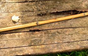 how to make a fishing rod in the wild