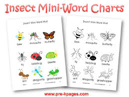 Bugs And Insects Theme Activities In Preschool