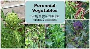 Perennial Vegetables 15 Easy To Grow