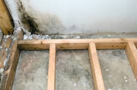 Mold in the basement is cause by either liquid water or humidity. Basement Mold Prevent Mold Growth In The Basement