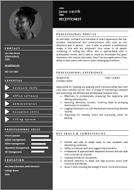 Briefly describe your expertise, skills, and achievements to encourage the hiring manager to read the rest of your cv or resume. Receptionist Personal Assistant Curriculum Vitae Professional Cv Zone Templates