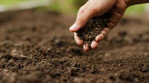 right soil for your garden
