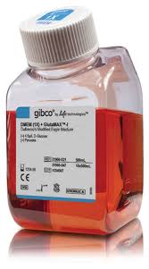 gibco dmem high glucose glutamax