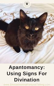 A dream about black cat biting the dreamer is quite an unfavorable sign. Apantomancy Using Signs For Divination Lisa Boswell