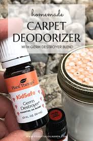 diy carpet deodorizer essential oils