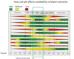 Effects Of Ph Sodicity And Salinity On Soil Fertility