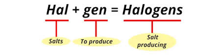 halogens located on the periodic table