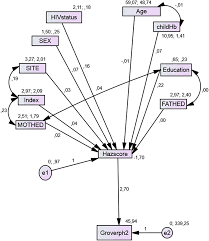 Structural Equation Modeling