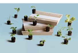 lettuce grow e gift card