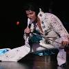 Story image for elvis presley from Las Vegas Review-Journal