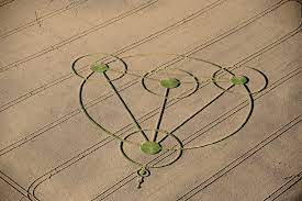 crop circles they re real and contain