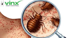 Bed Bugs How To Identify Bed Bug Bites