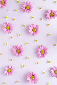 hd aesthetic pink flowers wallpapers