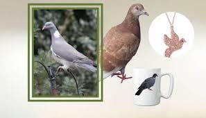 12 great gifts for pigeon