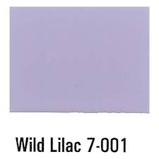 Asian Paints Wild Lilac 712 Enamel Paint