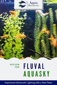 Fluval Aquasky Led Review Worth The Money Aqua Movement Aquarium Lighting Low Light Plants Aquarium Setup