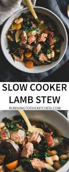 easy crockpot lamb stew recipe