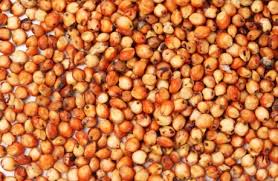 sorghum grain nutrition facts