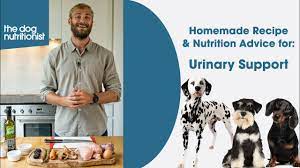 urinary support recipe for dogs the