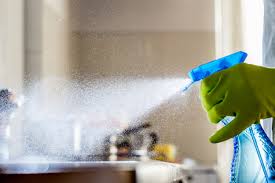 household cleaning s can kill