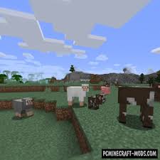 A mod which aims to improve existing biomes and add completely new ones! Identity Morph Fabric Mod For Minecraft 1 17 1 1 16 5 1 16 4 Pc Java Mods