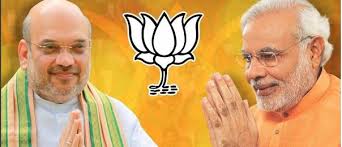 Image result for bjp