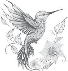 hummingbird art images browse 38 184