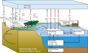 Carbon Cycle Diagram From The Ipcc Ucar Center For Science