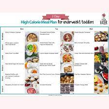 high calorie foods to help your