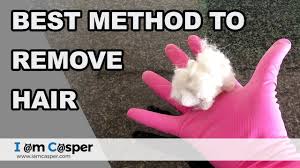 how to remove cat hair best trick
