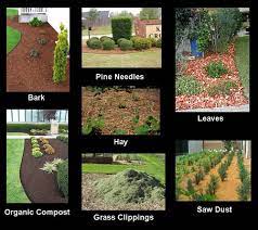 Difference Between Mulch Compost