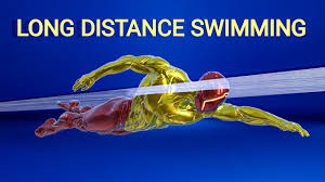 swim for a long distance