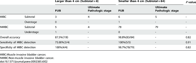 Stage Estimation For Tumors Of Different Size Download Table