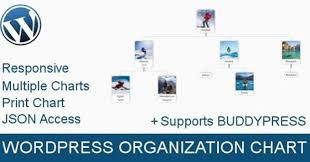 Draw Organization Chart In Wordpress By Webtechforce