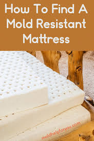the best mold resistant mattress