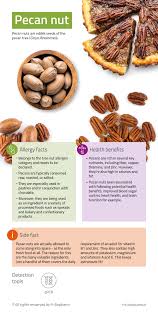 pecan nut food feed ysis