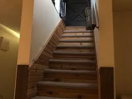 cat door basement stairs big off 69