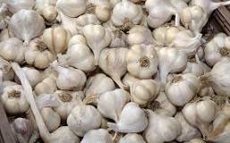 Image result for How Much Does Garlic Cost In South Africa