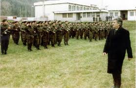 Image result for radovan karadzic