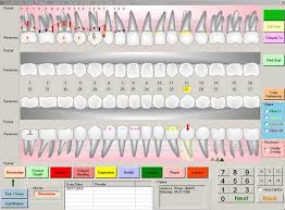 Dental Document Periodontal Chart