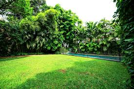 landscaping design sri lanka garden