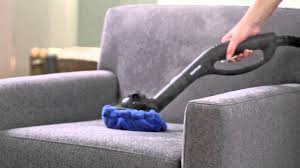 kill bed bugs with a steam cleaner