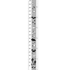 Height Chart Inches Vector Images 74