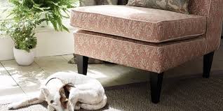 Pet Friendly Sofa Luxury Furniture