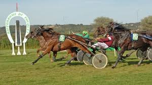 handicaps courses chevaux
