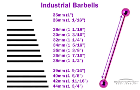 Barbell Size Chart Related Keywords Suggestions Barbell
