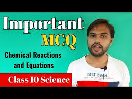 Mcq Questions For Class 10 Science Ch