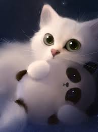 white kitten cute big eyes art cat