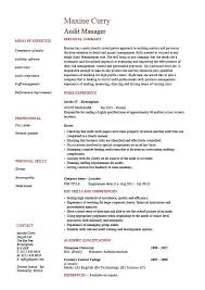 Audit Manager Resume Auditing Risk Example Sample